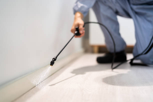 Licensed Pest Control service in Arial, SC - Show Me Pest Control