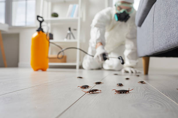 Commercial Kitchen Cockroach Control in Arial